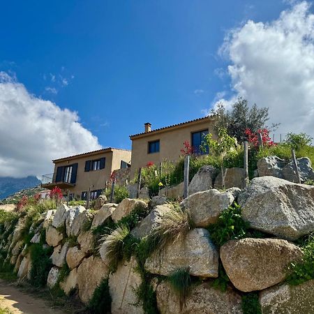 Bella Vita Calenzana Exteriér fotografie