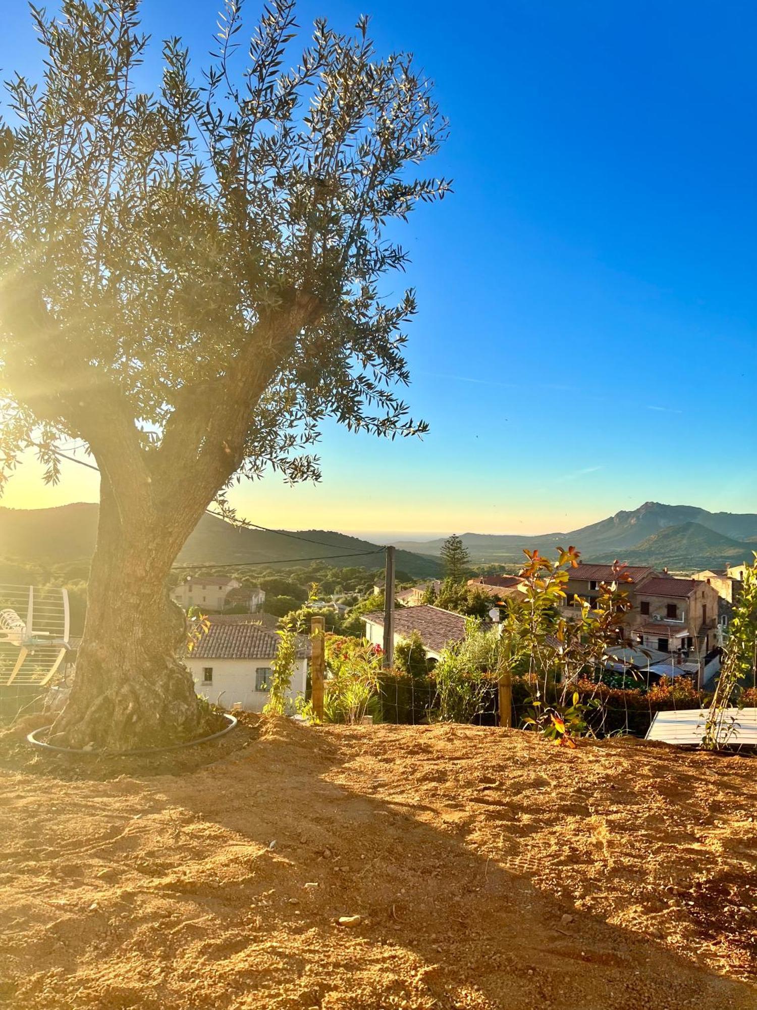 Bella Vita Calenzana Exteriér fotografie